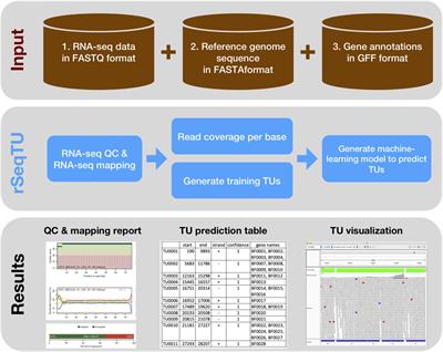 rSeqTU—A Machine-Learning Based R Package for Prediction of Bacterial Transcription Units